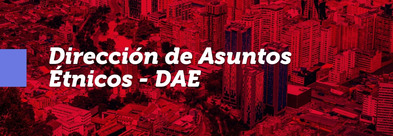 Fotografía panorámica de Bogotá y un texto que dice: Dirección de Asuntos Étnicos - DAE