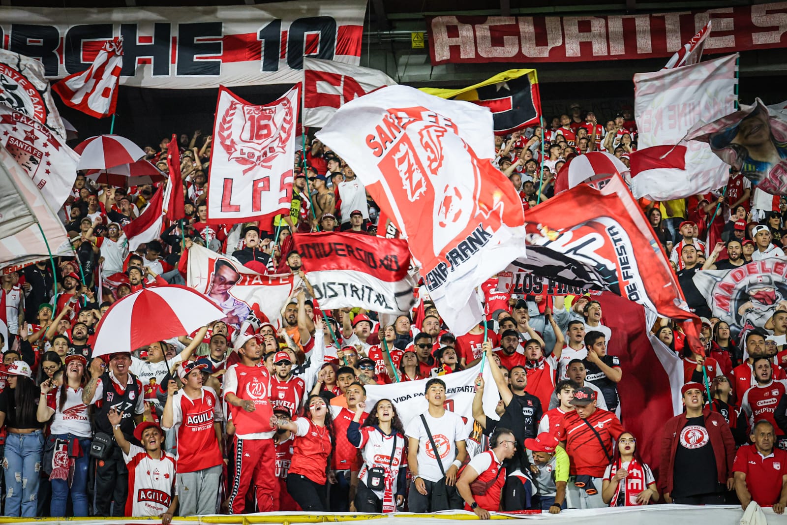 Foto de la hinchada de Santa Fe con banderas animando con furor a su equipo.