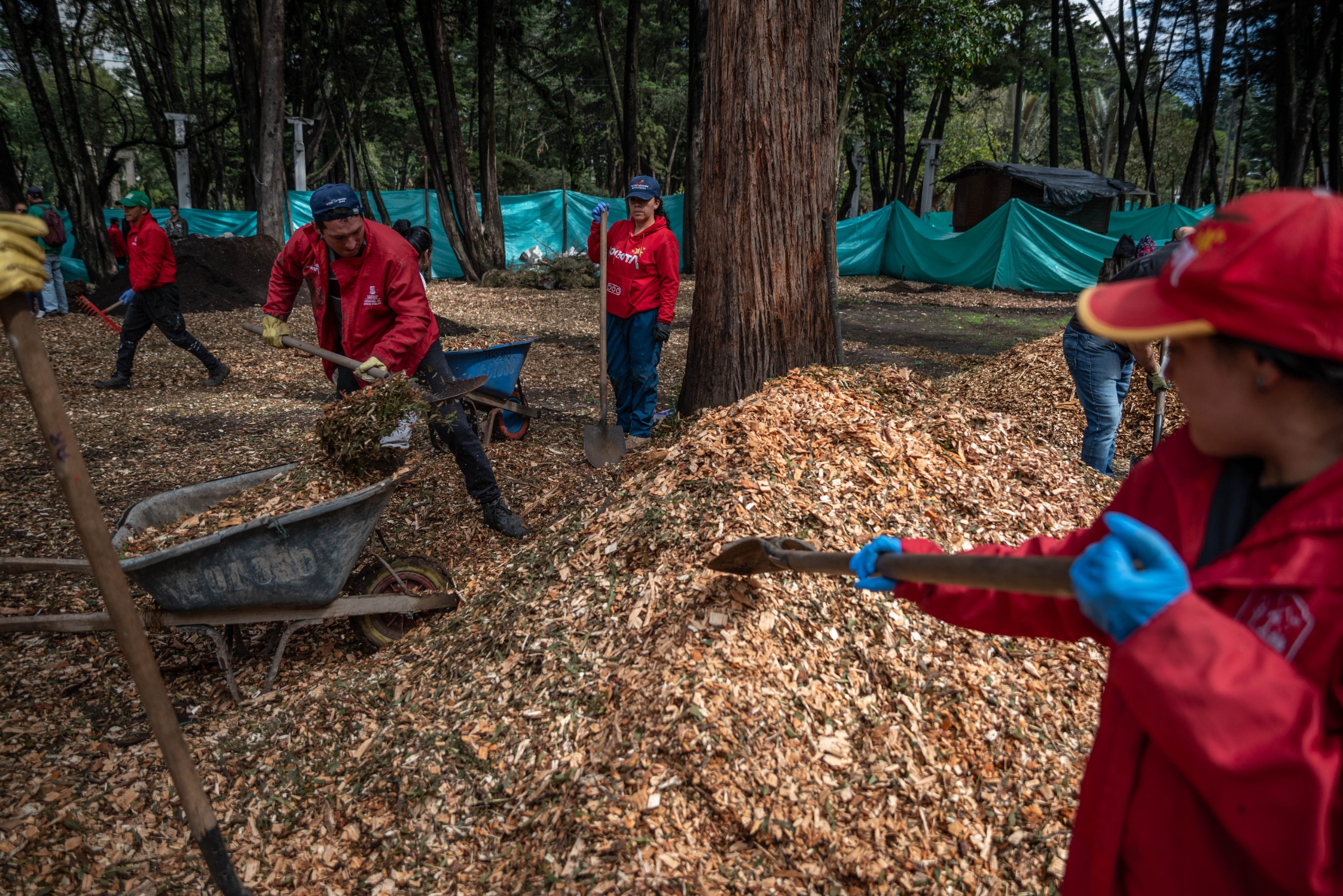 Foto de funcionarios de la Alcaldía recogiendo material vegetal del parque