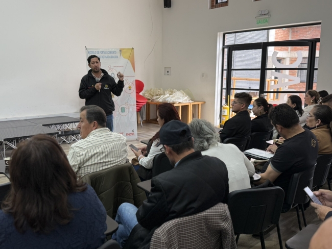 Juan Camilo Castellanos Gerencia Instancias Mecanismos Participación IDPAC