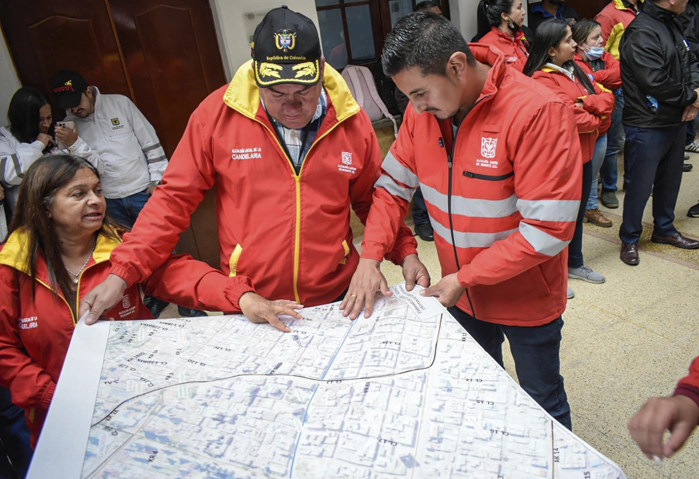 Imagen 12