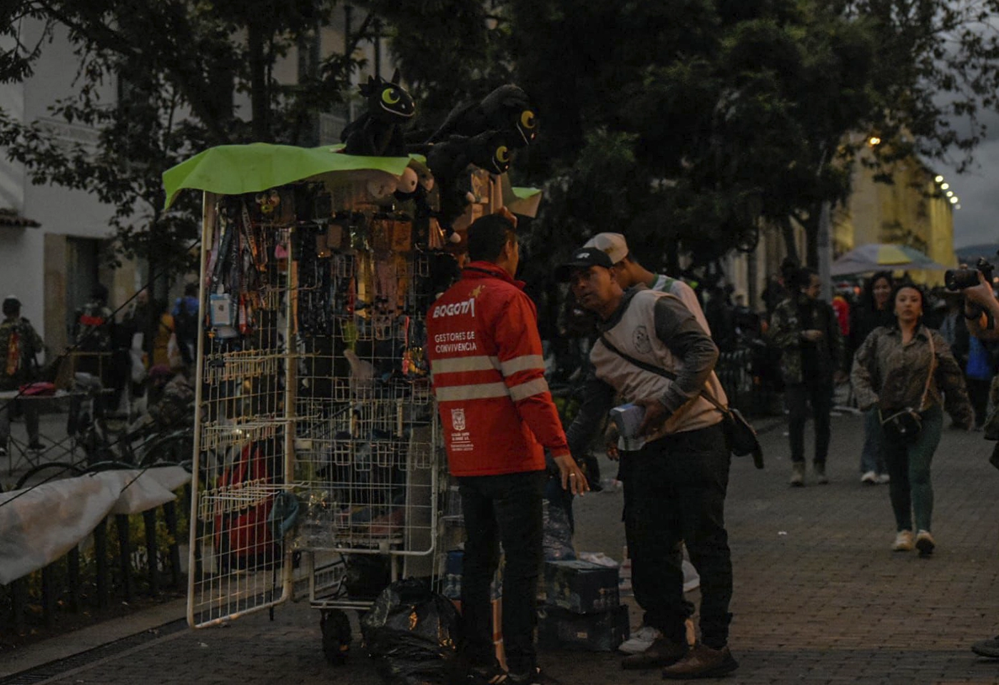 Imagen 7