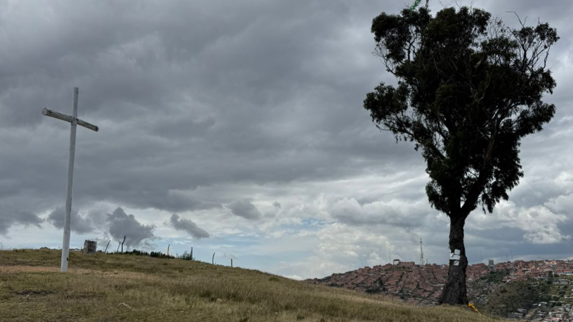 Imagen 11