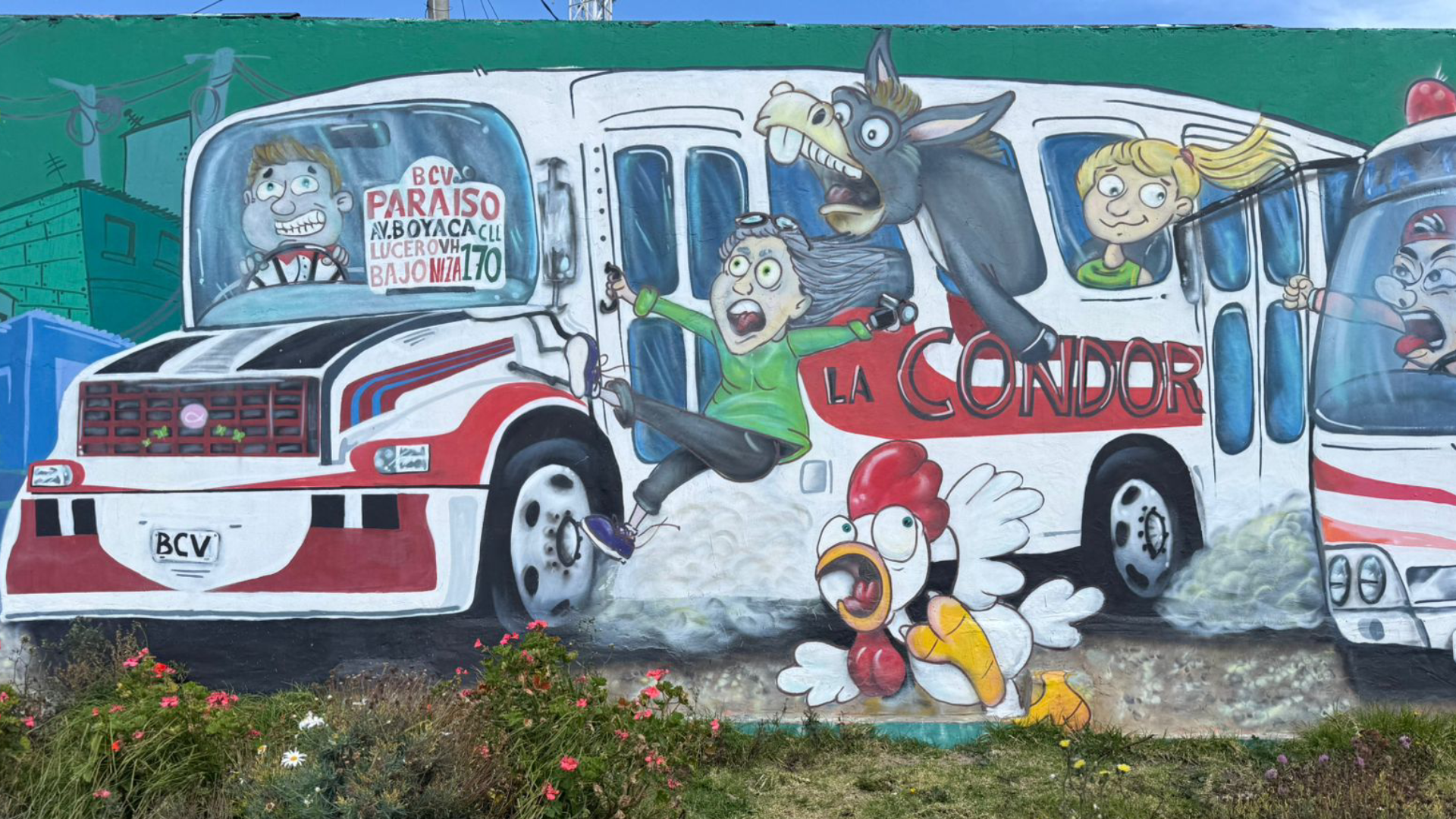 Imagen 7