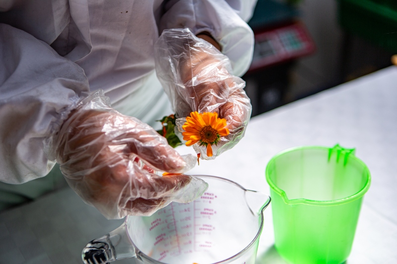 Foto de parte del proceso con una flor