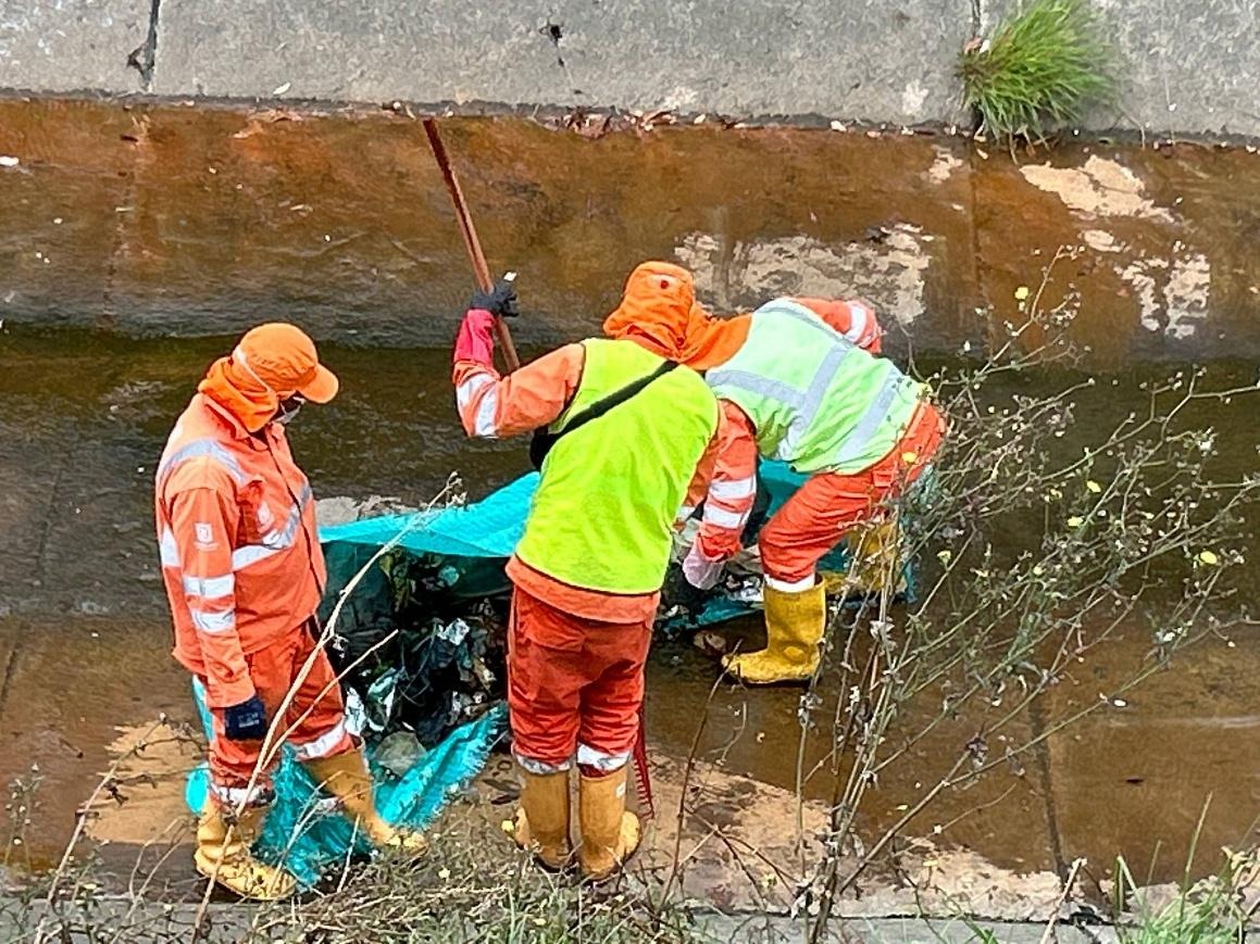 Jornadas de educación ambiental, recuperación de espacios públicos y participación ciudadana marcaron la Semana Ambiental en Puente Aranda