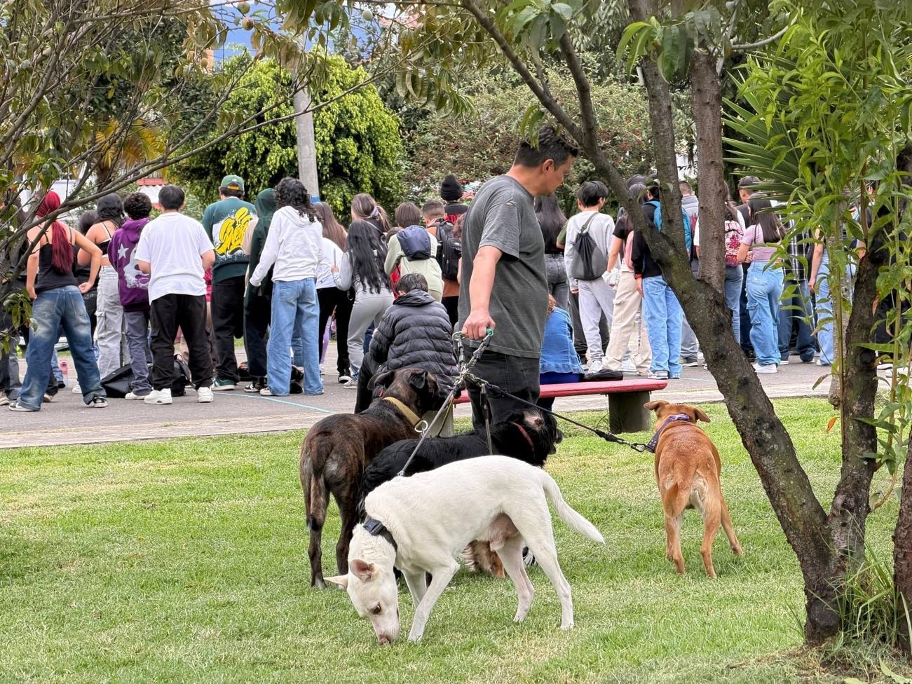 Conozca los servicios y programas que la Alcaldía Local de Puente Aranda ofrece a la comunidad