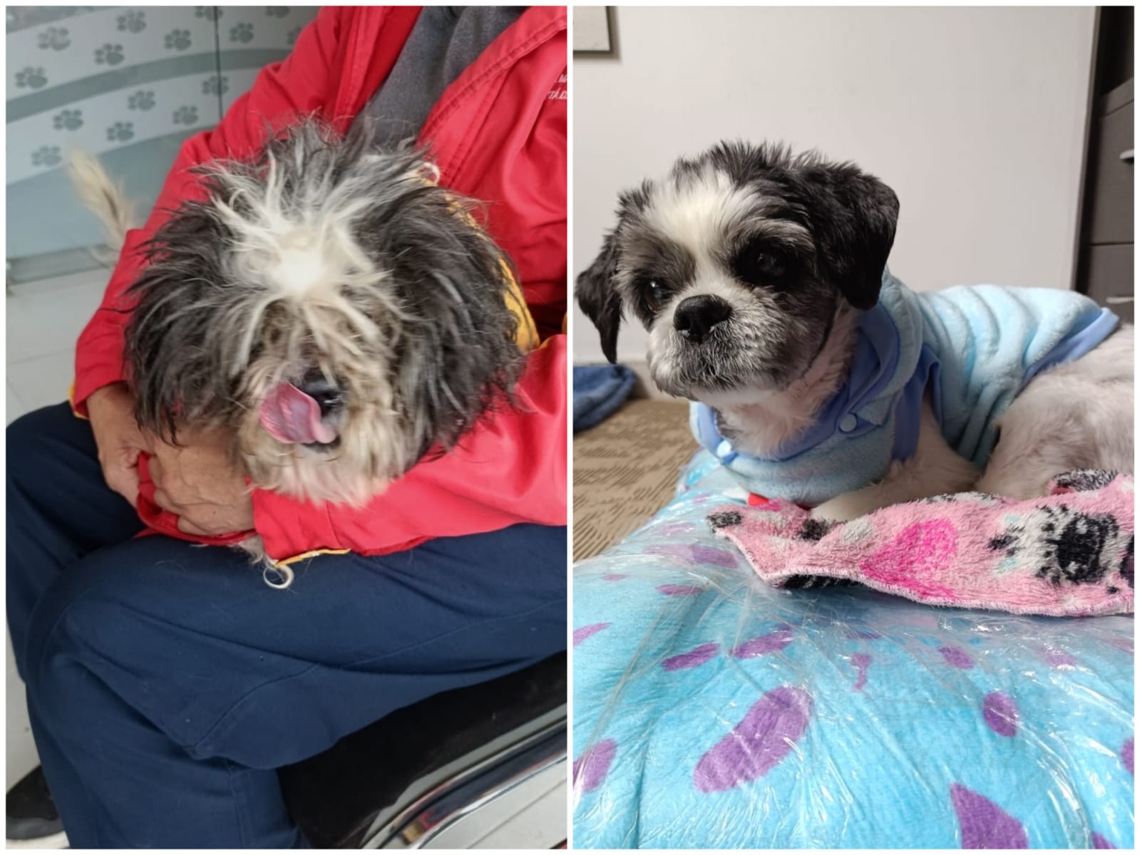 Pepe, antes y después