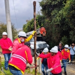 Desmonte de Postes ilegales en el barrio la Requilina en localidad de Usme