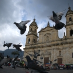 Paz Candelaria