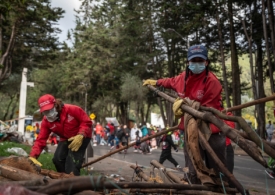 El Parque Nacional Renace: Acá te mostramos el proceso de recuperación de este símbolo de la ciudad.