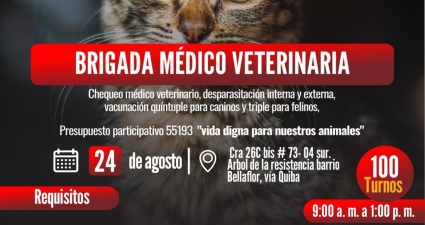 Brigada médico veterinaria