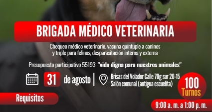  Brigada veterinaria