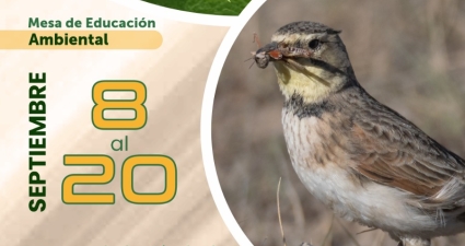 taller de educación ambiental