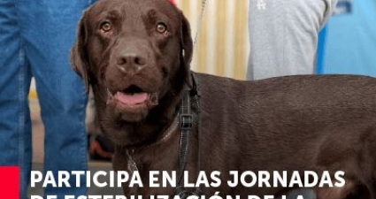 Jornada de esterilización 