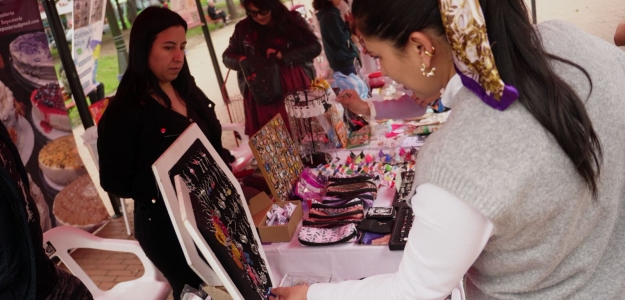 Mujer mirando articulos de la feria de emprendimiento 