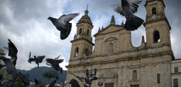 Paz Candelaria