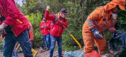 La Candelaria 2025 en cifras