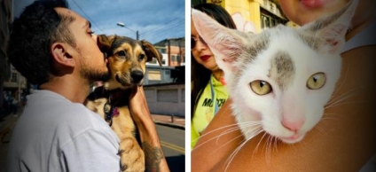 Brigadas veterinarias gratuitas para tu mascota - Localidad de Los Mártires