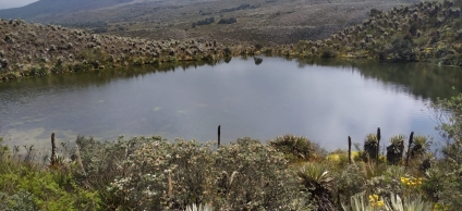 El maravilloso ecosistema del Páramo de Sumapaz