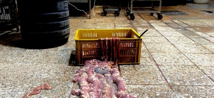 Sellada fábrica de morcillas por insalubridad