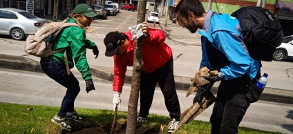 Día del árbol impulsa recuperación ambiental en Los Mártires