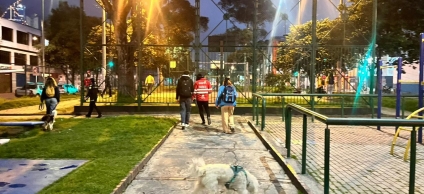 Distrito actúa para proteger entornos escolares seguros