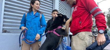 Alcaldía Local de Antonio Nariño impulsó en enero acciones clave de protección y bienestar animal
