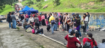 Ciudad Bolívar prioriza el bienestar animal con más de 2.000 esterilizaciones en 2025