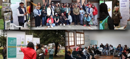 presentación de los resultados finales del proceso de diseño para el cruce de la Carrera 60, un punto donde hoy la vía fracciona el ecosistema del Bosque Urbano Brazo Salitre