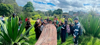 Fotografía relacionada con: Estudiantes de Tunjuelito participan en la recuperación de jardines polinizadores en el Humedal El Tunjo