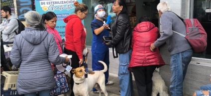 Jornada de esterilización en Barrios Unidos