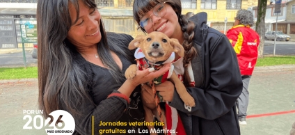 Atención veterinaria gratis en Los Mártires