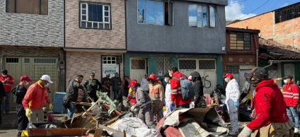 Entidades en el operativo actuando en la recolección de escombros