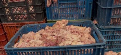 Sellan fábrica de sebo y huesos en Kennedy