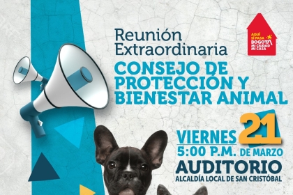 Reunión extraordinaria del Consejo de Protección y Bienestar Animal