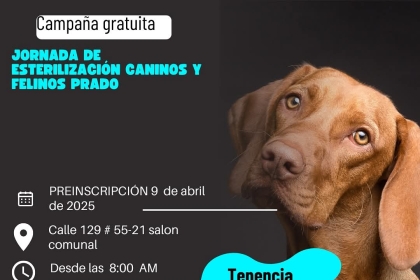 Pieza gráfica Jornada de esterilización para caninos y felinos en Suba