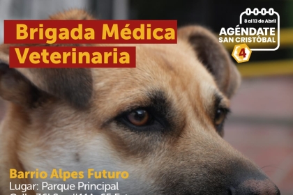 Brigada Médica Veterinaria