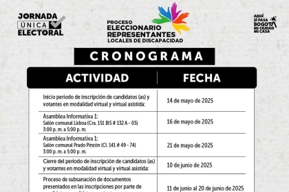 Asamblea informativa para la Elección de Representantes al Consejo Local de Discapacidad 2025