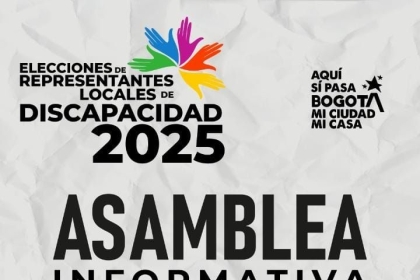 ELECCIONES DE REPRESENTANTES LOCALES DE DISCAPACIDAD 2025