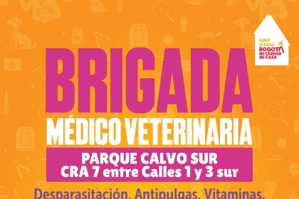 Brigada Médico Veterinaria en el Parque Calvo Sur