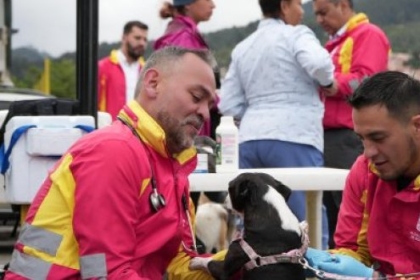 Jornada de esterilización gratuita para animales de compañía en San Cristóbal