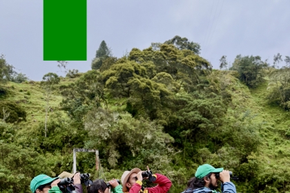 Avistamiento de aves en Sumapaz