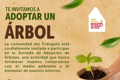 Adopta un árbol desde el Triangulo 