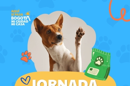 Jornada de Esterilización Gratuita - Parque la Belleza
