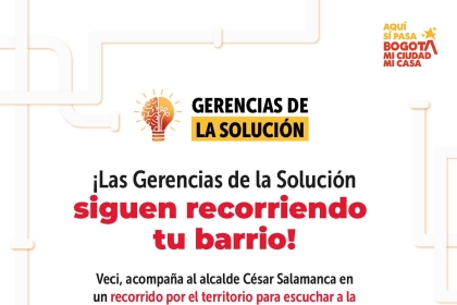 Gerencias de la Solución UPL Rincón 1