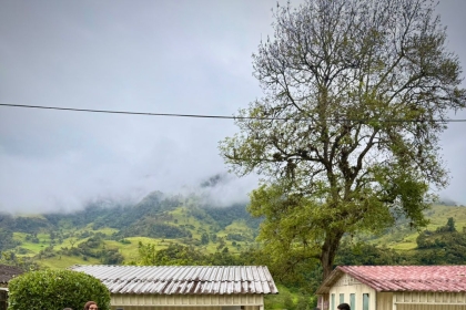 PEAMA