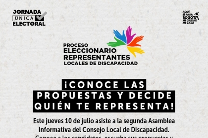 Segunda Asamblea Informativa del Consejo Local de Discapacidad de Suba