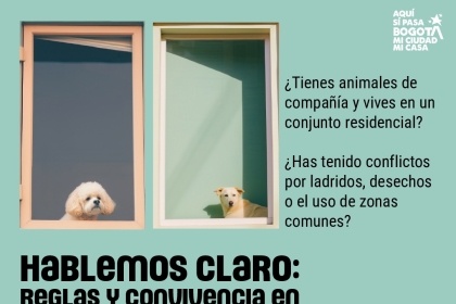 Pieza gráfica de curso de mascotas y propiedad horizontal