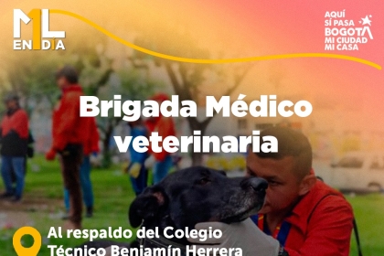 Brigada médico veterinaria gratuita en Puente Aranda
